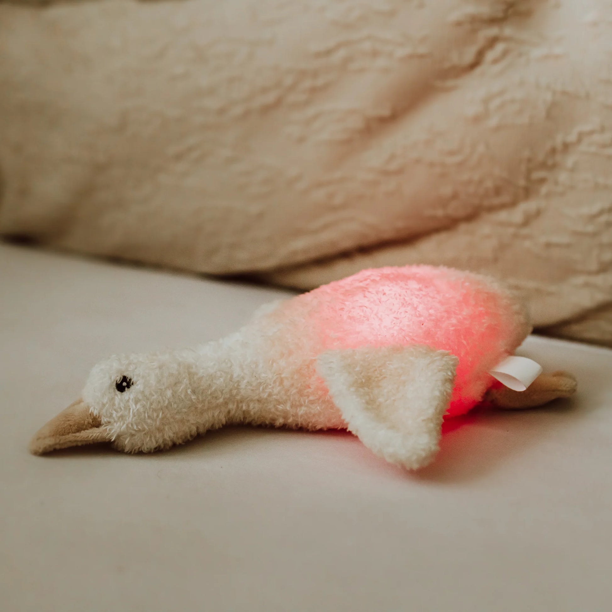 Flow Amsterdam bamse med lys Liva Off White