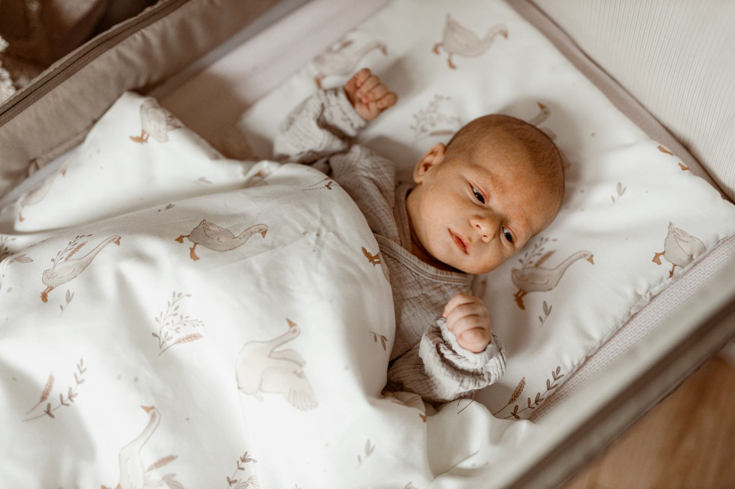 ColorStories babydyne + pude Happy Goose