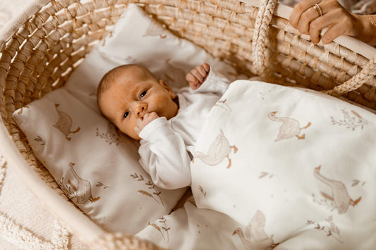 ColorStories babydyne + pude Happy Goose