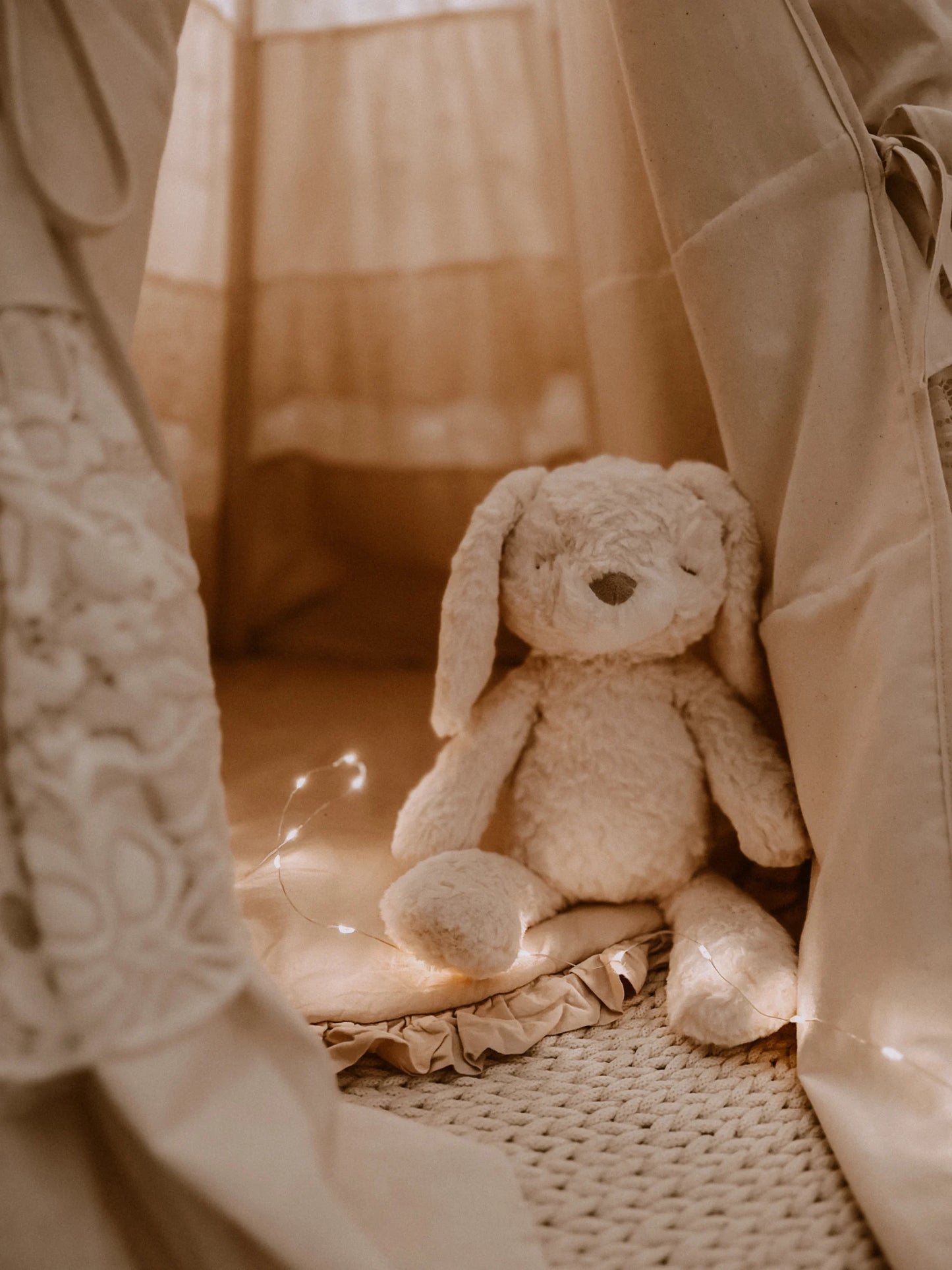 Mrs. Ertha Mrs. Pookie Rabbit
