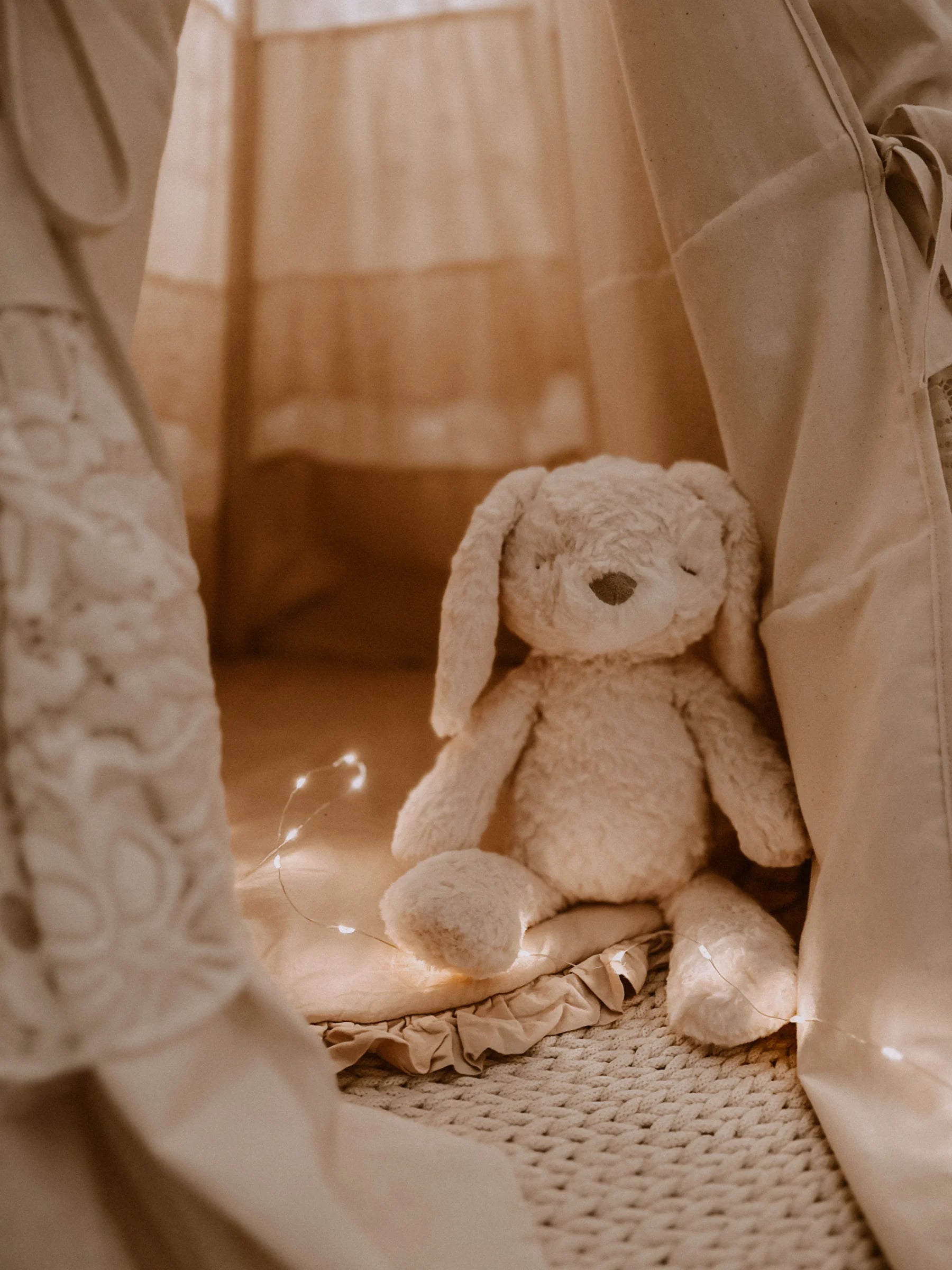 Mrs. Ertha Mrs. Pookie Rabbit