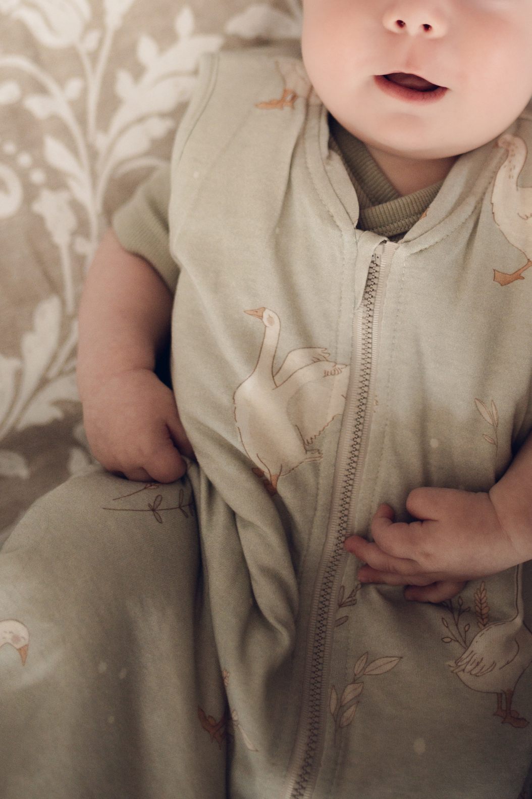 ColorStories sovepose Happy Goose Olive