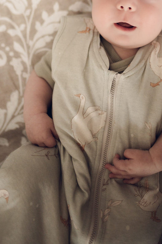 ColorStories sovepose Happy Goose Olive