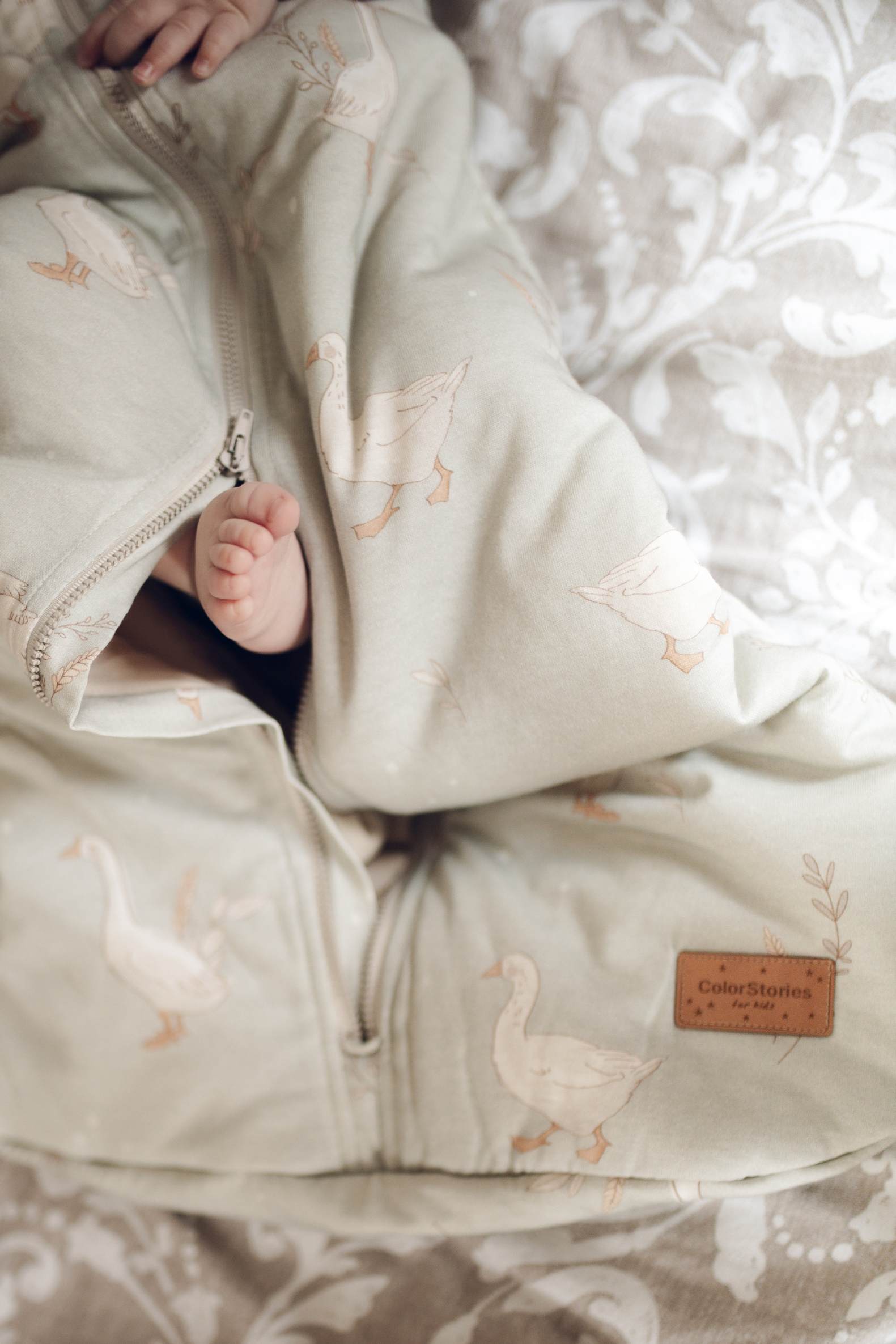 ColorStories sovepose Happy Goose Olive