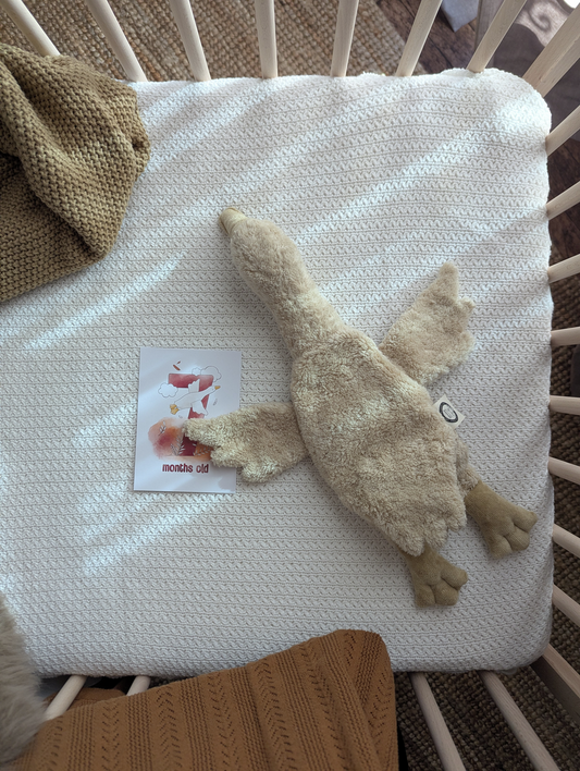 Varmebamse gås fra Senger Naturwelt - Linen