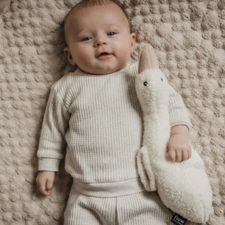 Bamse med hjertelyd
