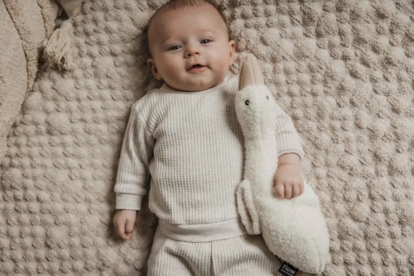 Bamse med hjertelyd