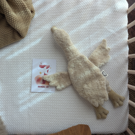 Varmebamse gås i økologiske materialer med druekerner, liggende i babyseng og skaber tryg og naturlig varme til baby og barn