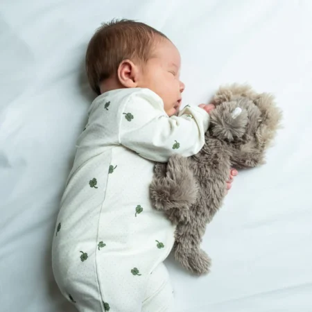 That's Mine Mini Tyngdebamse baby dino tyngdebamse nusseklud til babysøvn tryghed og ro ved puttetid